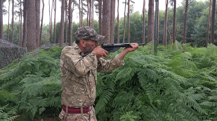 Blank firing Sten Mk2 UK legal