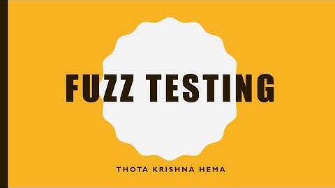 Fuzz Testing