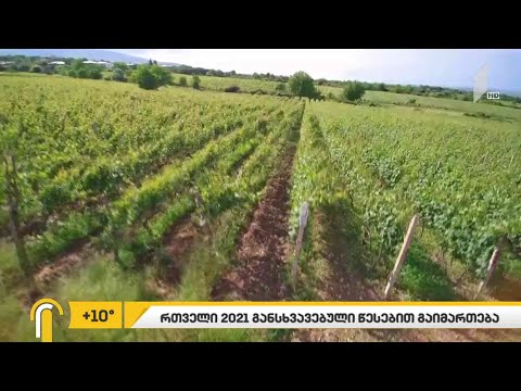 ექსპერტების პროგნოზით, საქართველო მიმდინარე წელს ექსპორტის 10-15%-იანი კლებით დახურავს