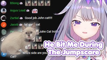 John Cat Bites Biboo at the Perfect Timing of an Alien Jumpscare