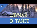 СЛУЧАЙ В ТАЙГЕ | ВЫЖИТЬ ЗИМОЙ В СУГРОБЕ | ВЫЖИВАНИЕ В ЛЕСУ БЕЗ ЕДЫ | С СОБАКОЙ ЛАЙКОЙ ОХОТА