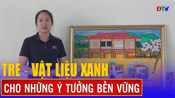 Tre - Vật liệu xanh cho những ý tưởng bền vững | Sống xanh 19-5-2025 | Điện Biên TV