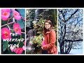 Weekend Vlog - Pregnancy Glucose Tolerance Test, Krohn Conservatory
