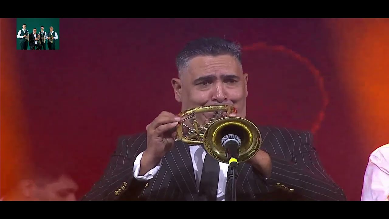 EKREM MAMUTOVIC GUCA KONCERT 2024 ZIM KA COCEK