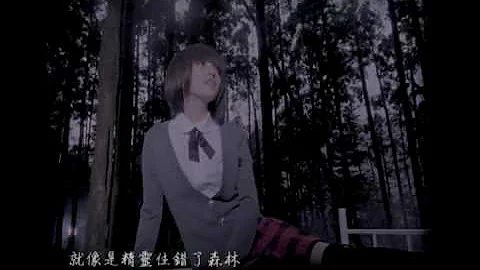 张韶涵 Angela Zhang - 亲爱的那不是爱情 (官方版MV) - 天天要闻