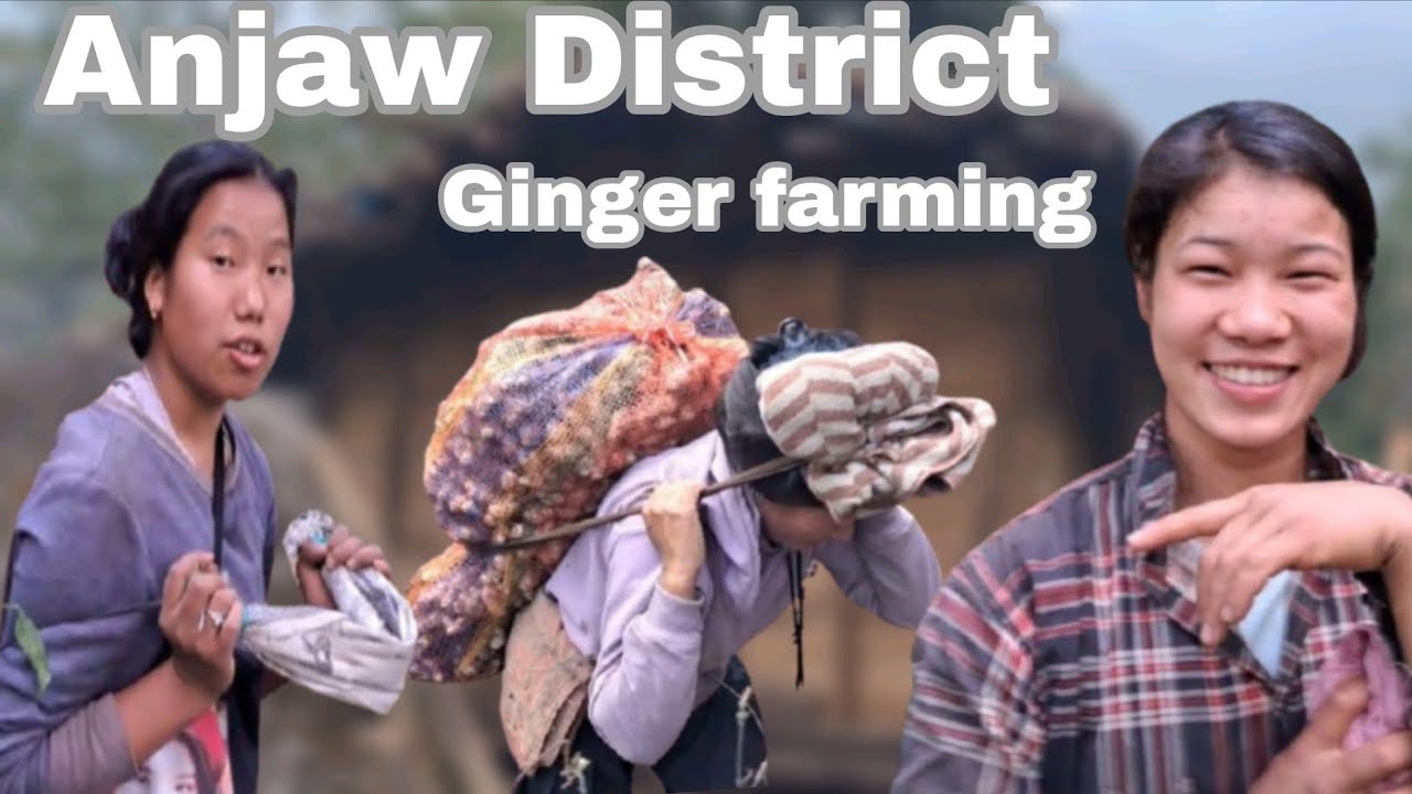 North East girls Hardworking | Arunachal pradesh 💞