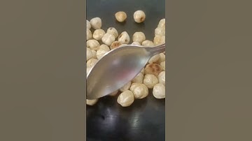 #shorts#hazelnut|Roasting of hazelnuts|#dryfruits#dryfruitsandnuts#viralshorts#viral