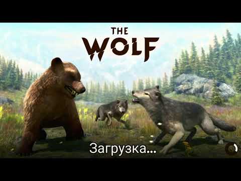 Видео: СИМУЛЯТОР ВОЛКА #4 ОХОТА на МЕДВЕДЕЙ в The Wolf