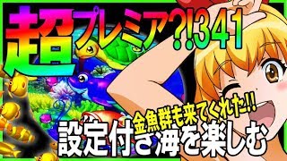 スーパー海物語INジャパン2MG 無加工品　設定キー付き　セルのみ パチンコ実機 PAスーパー海物語 INジャパン2MG セル基板