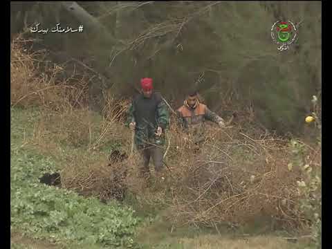 فيضان وادي مكناسة الشلف العثور على جثة الضحية العاشرة 