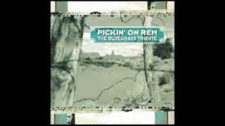 Download Lagu You Are The Everything - Pickin on R.E.M.: The Bluegrass Tribute MP3