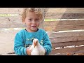 GELEIA DE PÉ FRANGO COLÁGENO NATURAL e OVOS NO PURGATÓRIO, REPLANTEI MEU CACTO AMENDOIM COM FLORES
