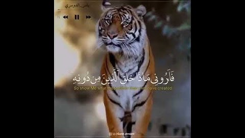 تلاوة جميله .د الشيخ ياسر الدوسري حفظه الله 😌😌هذا خلق الله فأروني ماذا خلق الذين من دونه