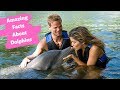 21 Amazing Facts About Dolphins