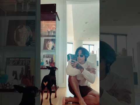 TIKTOK DPR IAN
