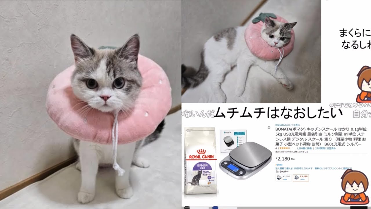  12. 容器から出して食べるのは避けてください