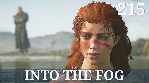 Into the Fog | Assassin