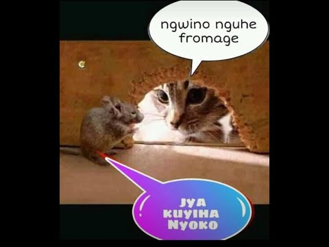 0010925 NGO NAHIMANA AVUGA MU KINYIRANYINDO NYAMARA NI URUGOMO RWA POLITIQUE MU BASHI N ABASHIRU