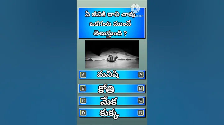 Gk Questions And Answers In Telugu | Interesting Facts | Riddles In Telugu | Puzzles Telugu | Quiz