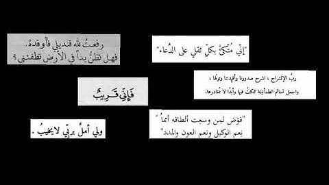 القارئ عبد الرحمن مسعد(ونجب دعوتك ونتبع الرسل)..