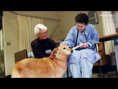 Fairfield House Legacy of Care