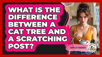 What Is The Difference Between A Cat Tree And A Scratching Post? - Happy Cat Handbook