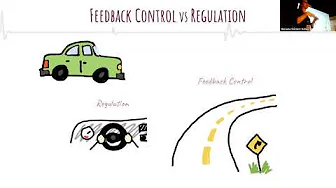 SORS/WomenInBSC: Understanding feedback control in biological systems