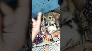 #love #animallife #youtube #doglove #funny #vlogs #viral #village ❤️🐕🥰📸