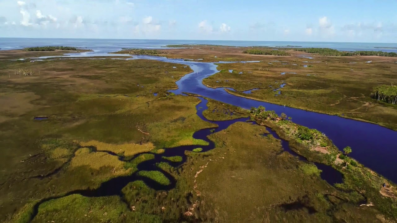 Florida Wetlands Jenkins Creek in Springhill Florida YouTube
