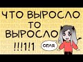 Моя история I Образование, рисование, фриланс