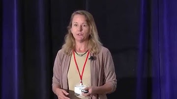 Big Graph Data Science | Lise Getoor | WiDS 2015