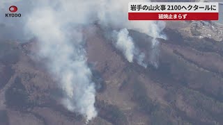 【速報】岩手山火事2100ヘクタールに 延焼止まらず