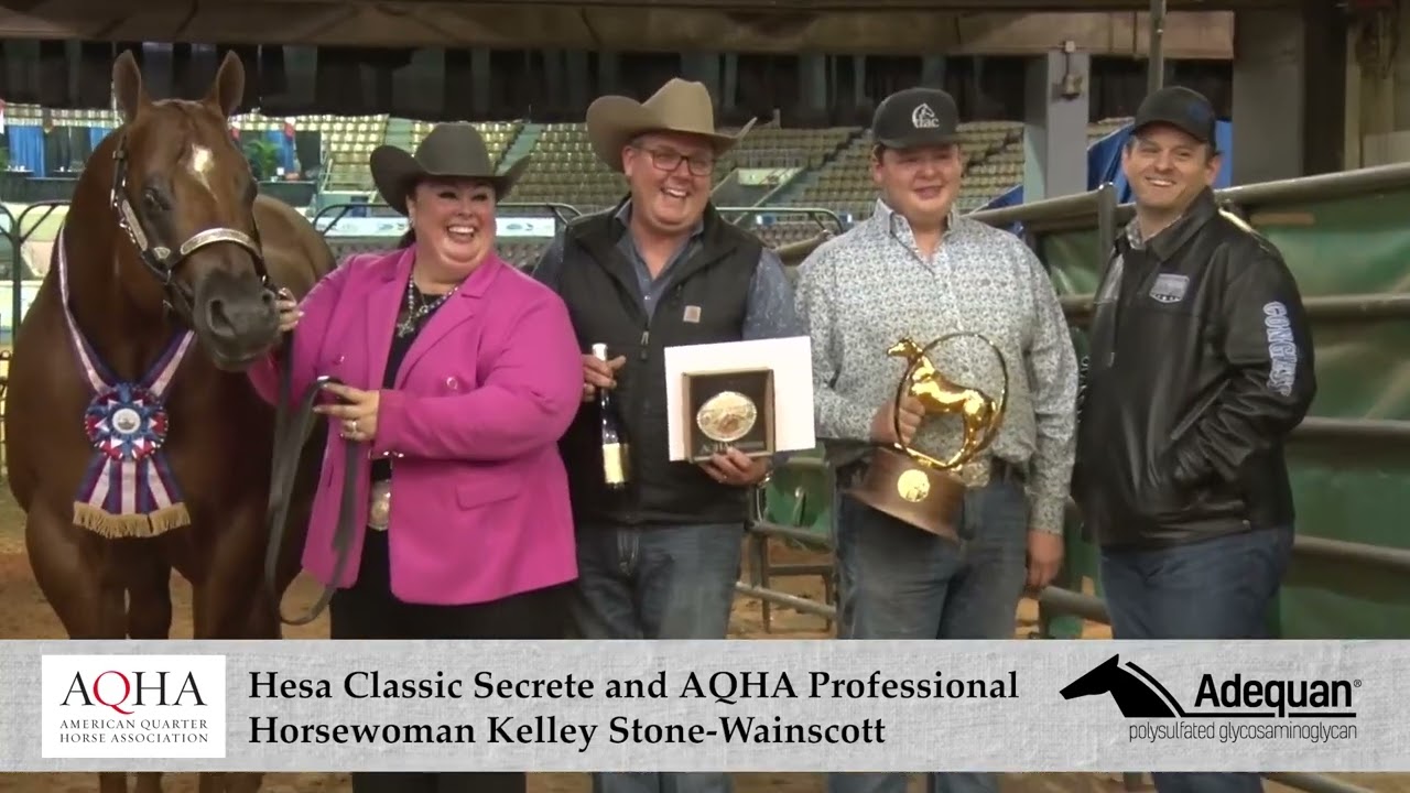 AQHA World Show Sizzle Two November 18, 2022 image image