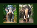 Largest elephant tusker  largest domestic elephant nadungamuwe raja 