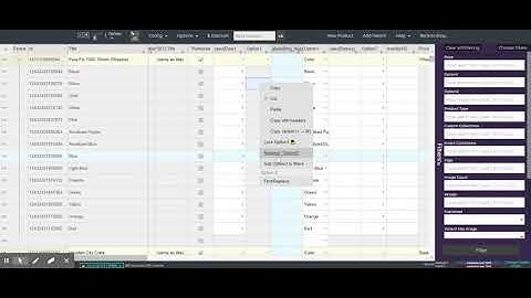 Filter by anything - Shopify Excel-like Spreadsheet Bulk Product Manager