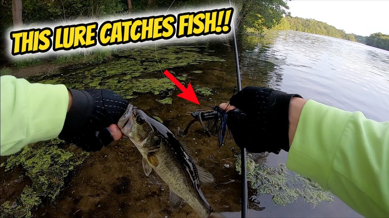 Deadly Combo for SUMMER BASS FISHING – Long Island NY