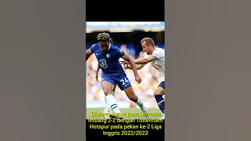 Hasil Liga Inggris Chelsea Vs Tottenham Sama Kuat Koulibaly Langsung Ikuti Jejak Eks Persib 