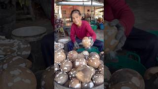 Thai  Auntie Cutting Mature Coconut - Fruits Cutting Skill