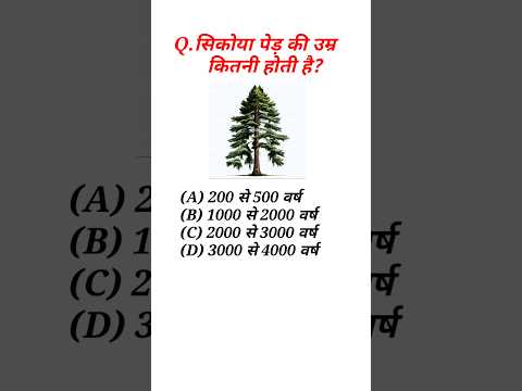 वीडियो: क्या सिकोइया के पेड़ पर्णपाती हैं?