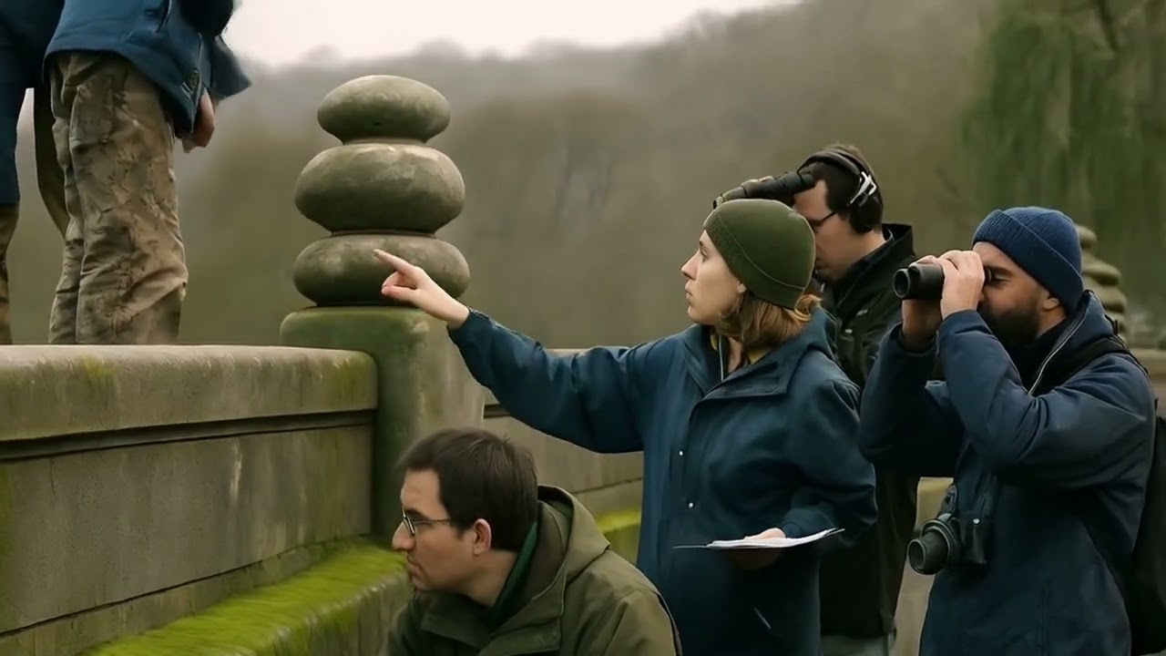 Scotland's Dog Suicide Bridge: The Unsolved Mystery