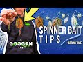 Spring time spinner bait fishing  what to throw 