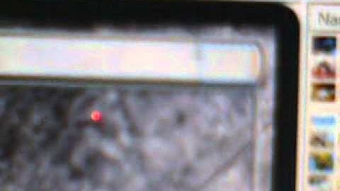 How To Use Magic Set Editor #2