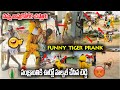    funny tiger pranks  telugu funny comedy pranks  seetimaar tv