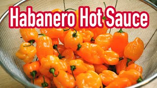 Turning one pound of HABANEROS into HOT SAUCE with the INSTANT POT