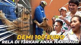 GREGETT..! DEMI 100 EURO ASISTEN RAFFI AHMAD RELA DI T3RKAM HARIMAU..! MPOK ALPA, ALSHAD AHMAD PANIK