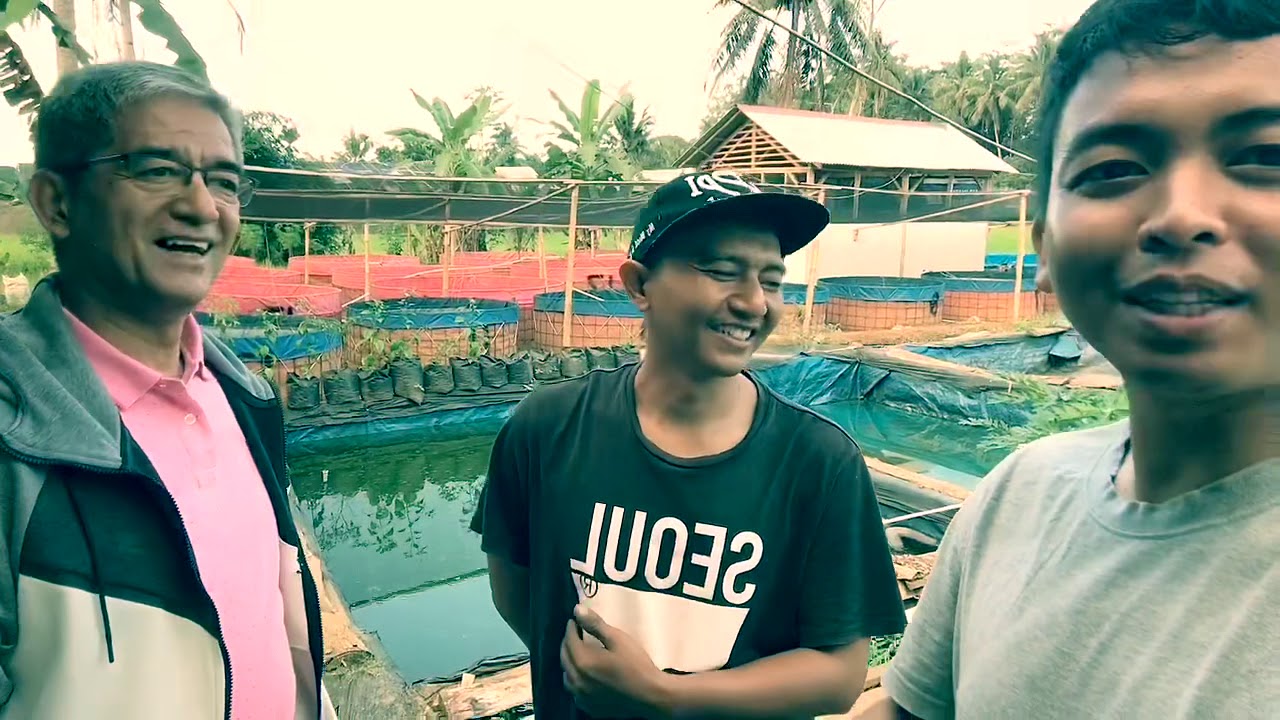 SUKSES mantan TKI Korea yang menjadi Pengusaha Lele - YouTube
