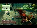 Empires of the undergrowth 114 uber big headed ant vs assassin fire ant