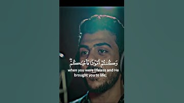 سورة البقرة / إسلام صبحي / تلاوة خاشعة ومؤثرة