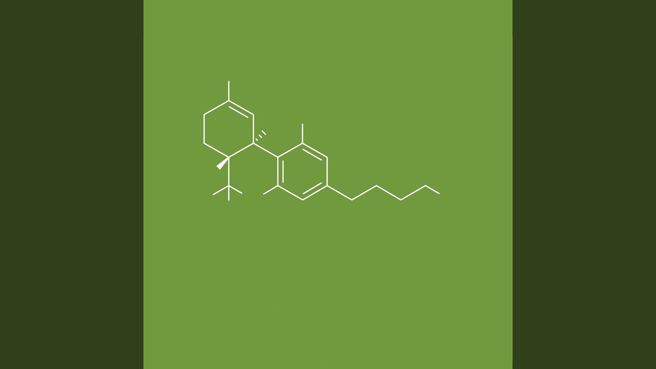 Watch Psychoactive on YouTube Watch Psychoactive on YouTube