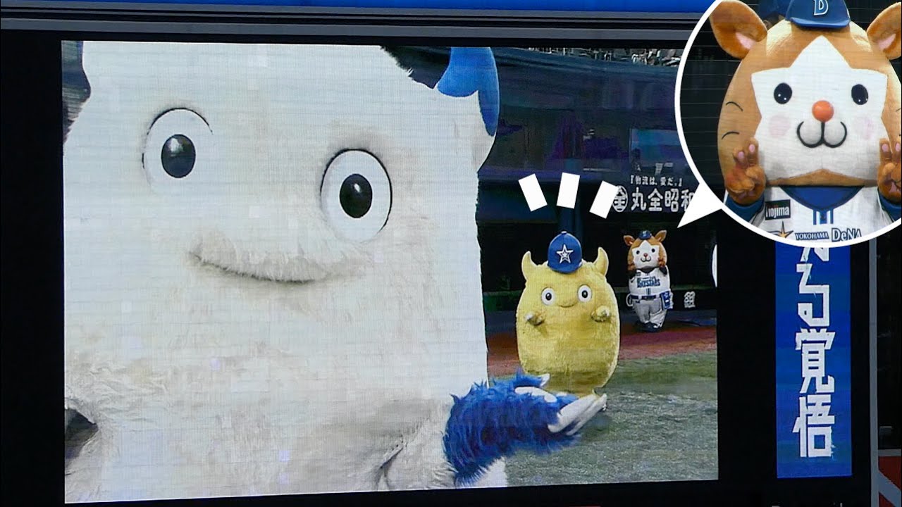 かわいい〜！手乗りチャピー🟡遠くにスターマン🐹【横浜DeNAベイスターズ 2024/10/1】